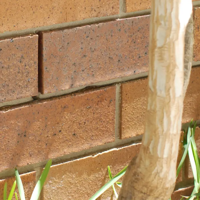 A weep hole on an external wall near a garden bed.