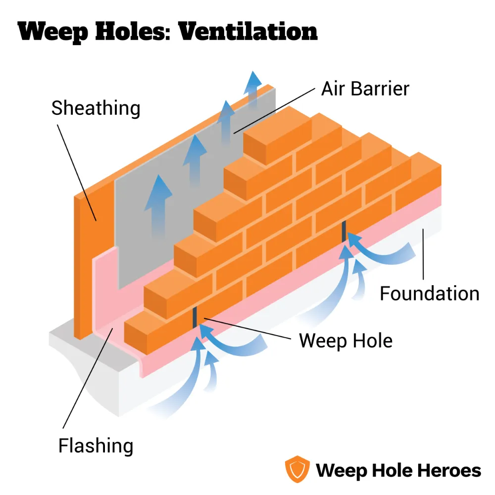 Diagram showing how air moves through weep holes into and up through the wall cavity helping to ventilate it.