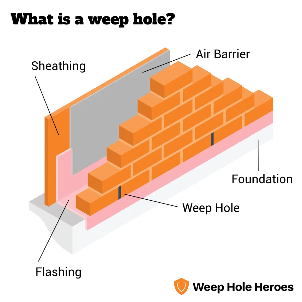 Diagram showing what is a weep hole. Shows a cavity wall with labels for weep holes, flashing, sheathing, air barrier and foundation.